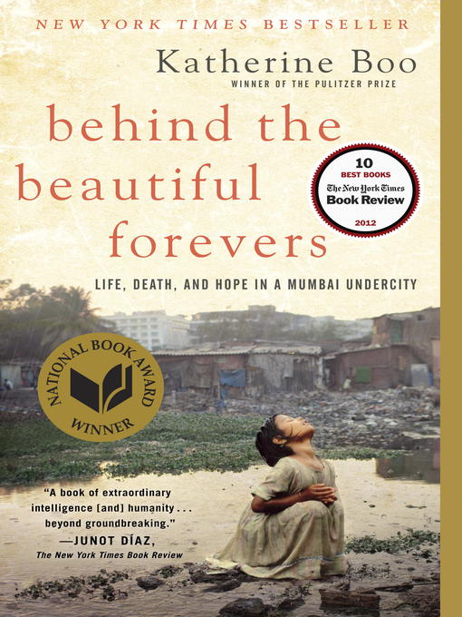 Cover image for Behind the Beautiful Forevers